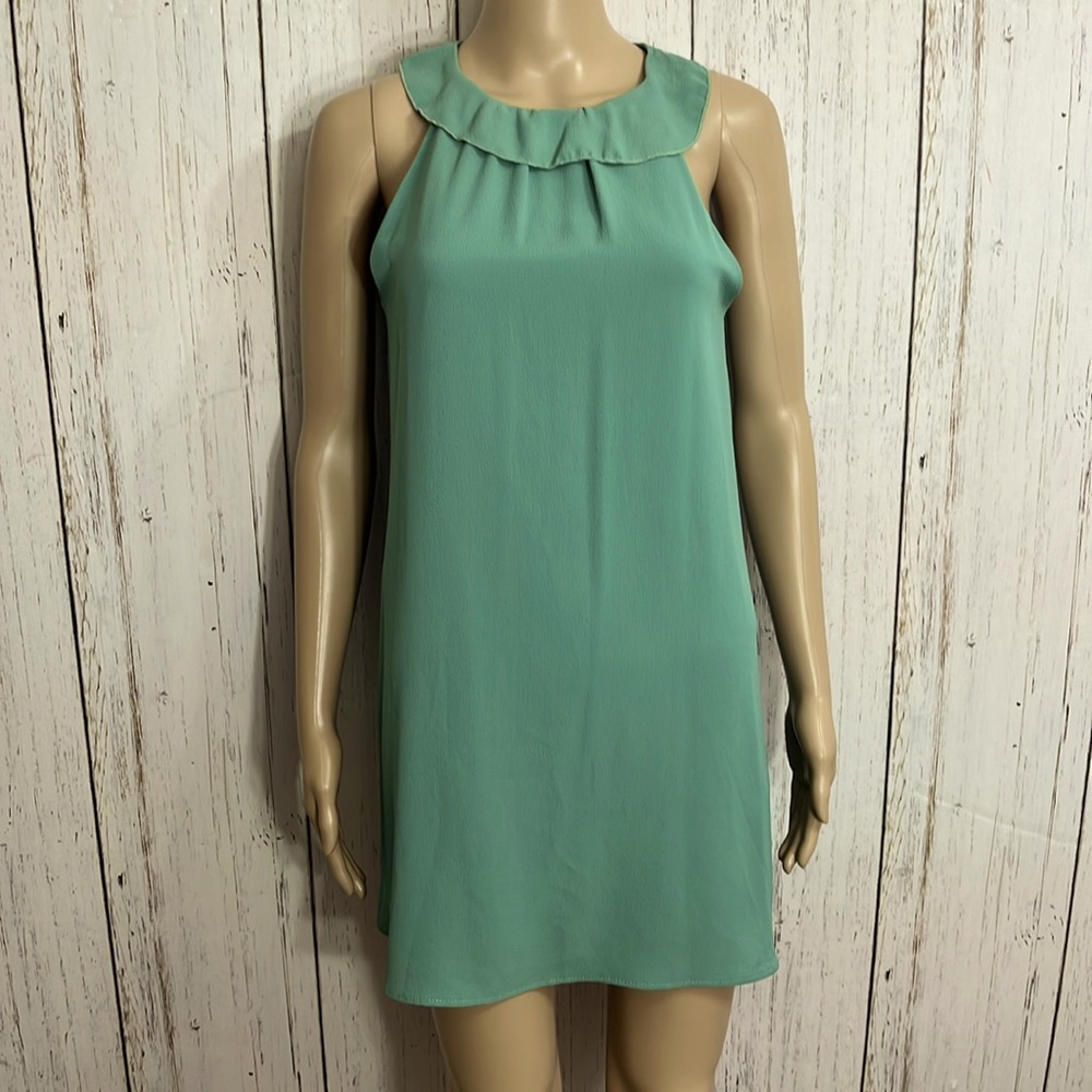 DeeDee Sleeveless Fully Lined Swing Dress Size Small